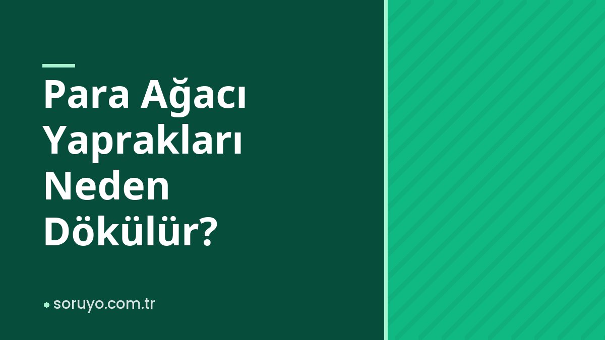 Para Ağacı Yaprakları Neden Dökülür?